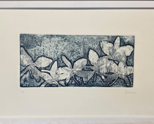 FER 01 - 36X37